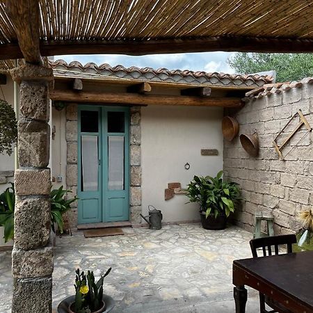 Graziosa Stanza Campidanese Su Terzu Casa de hóspedes Oristano Exterior foto