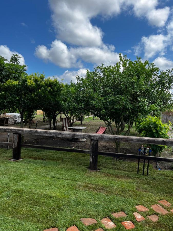 Graziosa Stanza Campidanese Su Terzu Casa de hóspedes Oristano Exterior foto